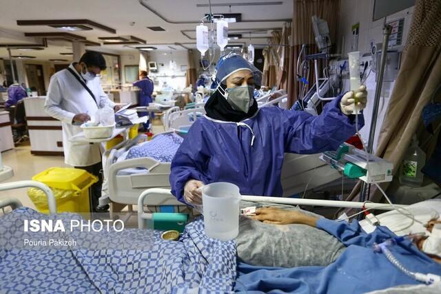 بستری 117 بیمار در بخش های کرونایی بیمارستان های استان بوشهر