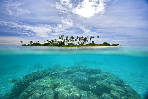 جزایر مالدیو کجاست؟ ، سواحل