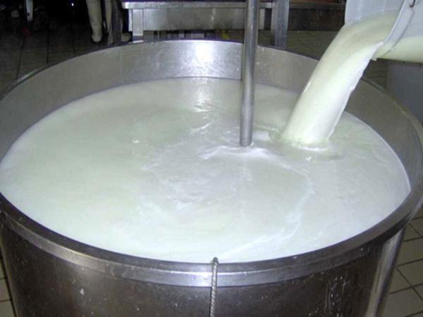 قیمت یک لیتر شیر الاغ در بازار ، جدول قیمت انواع شیر حیوانی و گیاهی